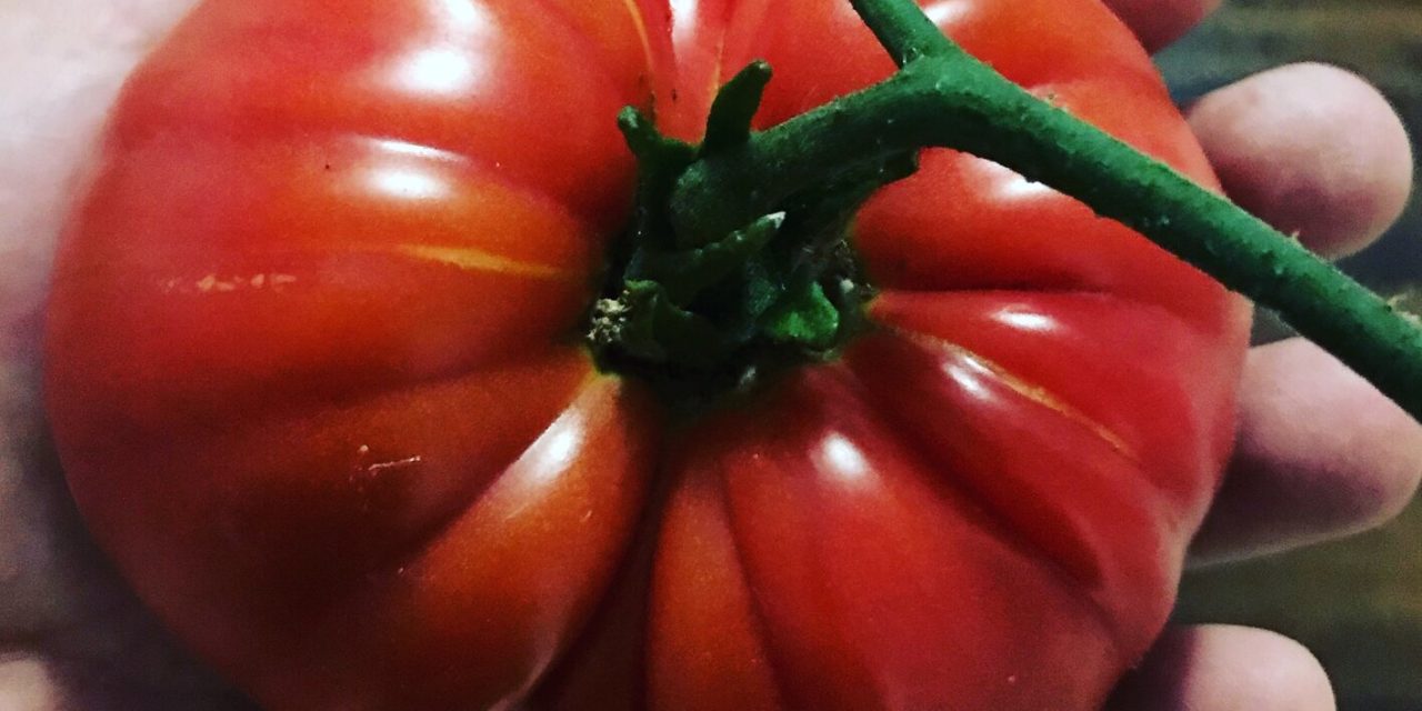 Food Preservation 