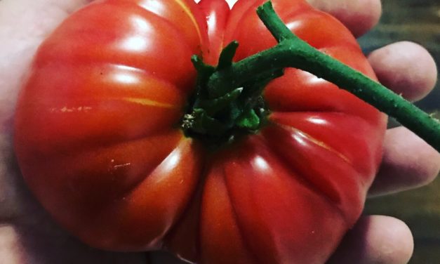 Food Preservation 