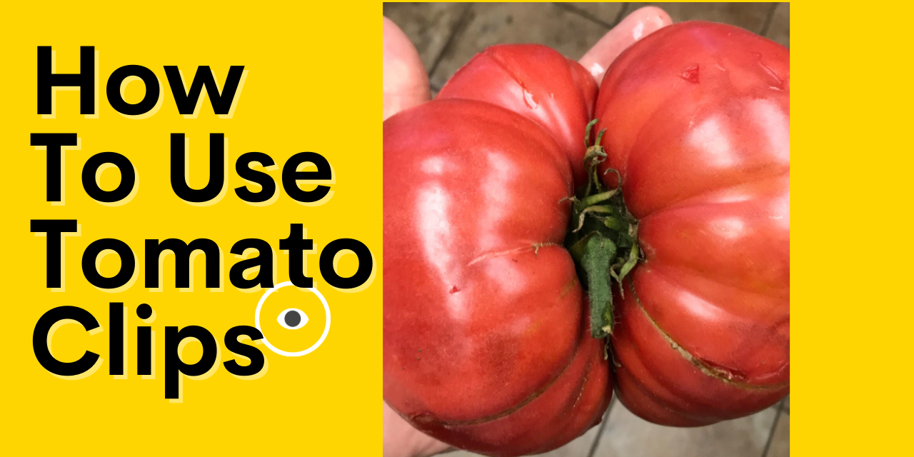 How To Use Tomato Clips