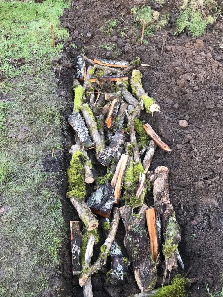 How to Build an InGround Hugelkultur Garden Bed Urban Homsteading PDX