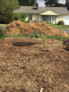 how to get a woodchip delivery