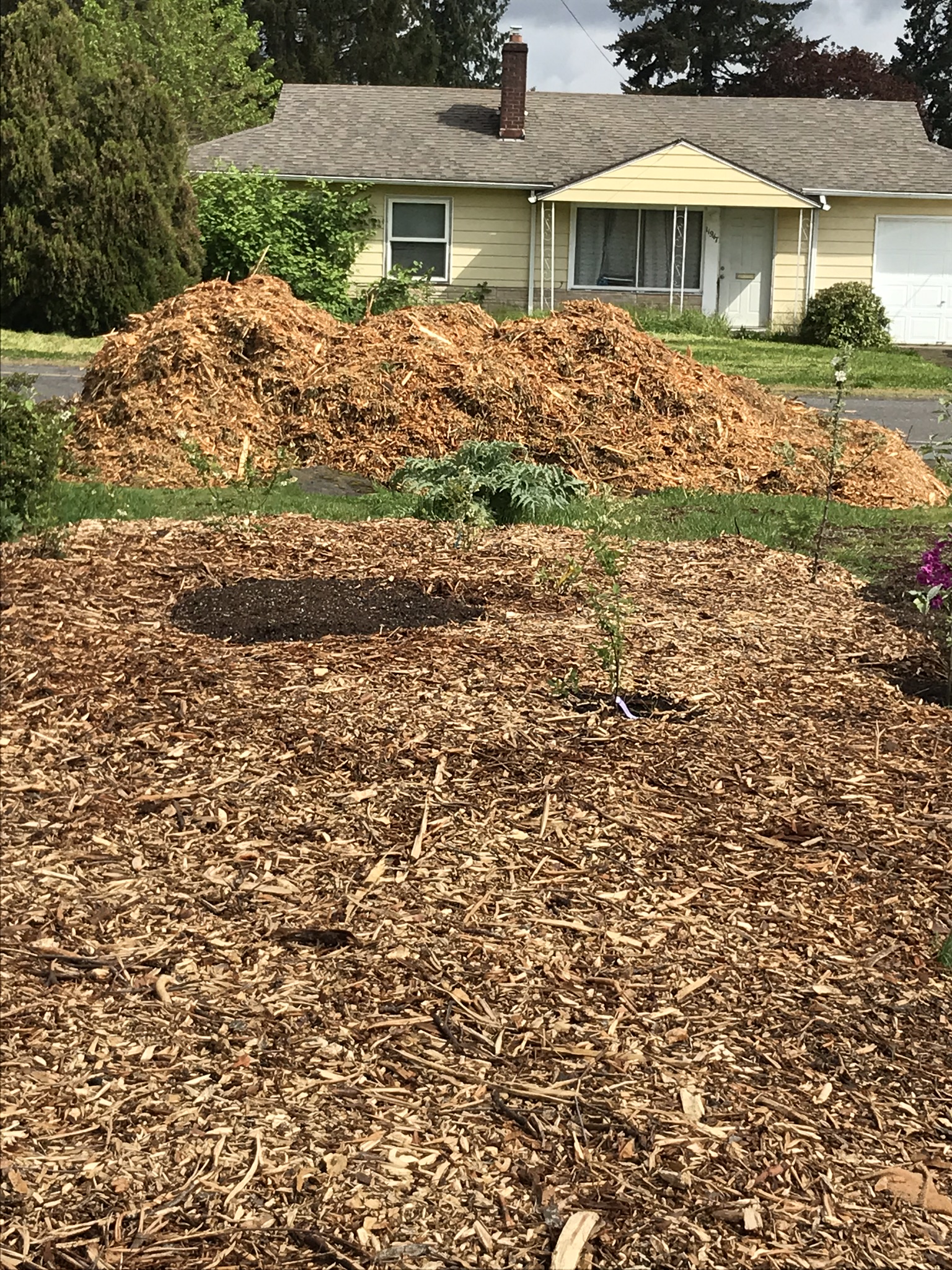 How to get a delivery of wood chips? Urban Homsteading PDX