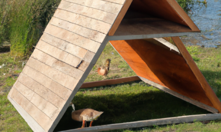 Cheap Duck Coop Ideas