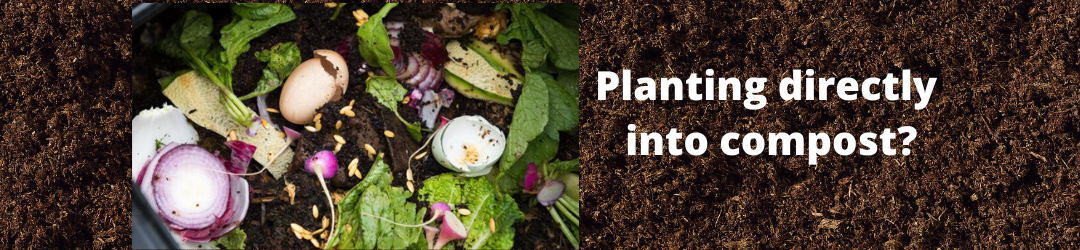 Can you plant directly into compost