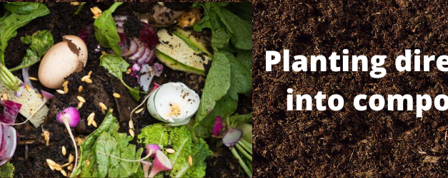 Can you plant directly into compost