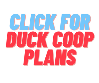 Get How to Build Duck Coop Plans