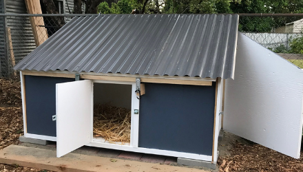 How to Build a Duck Coop