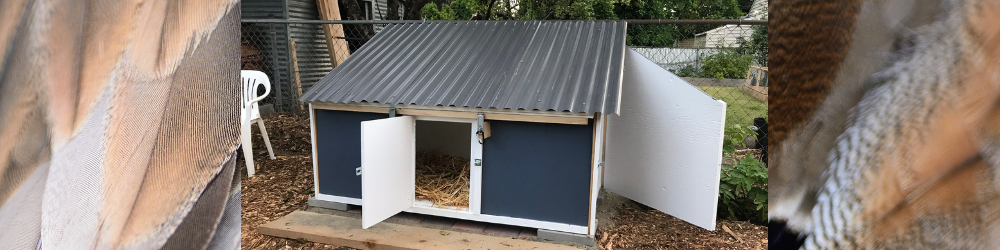 how to make a duck coop