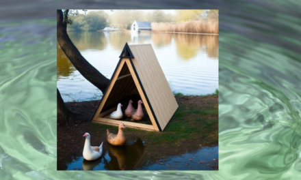 A Frame Duck Coop Plans