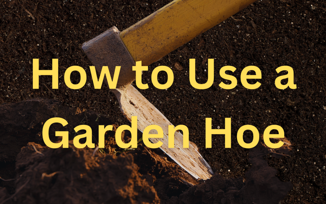 how to use a garden hoe