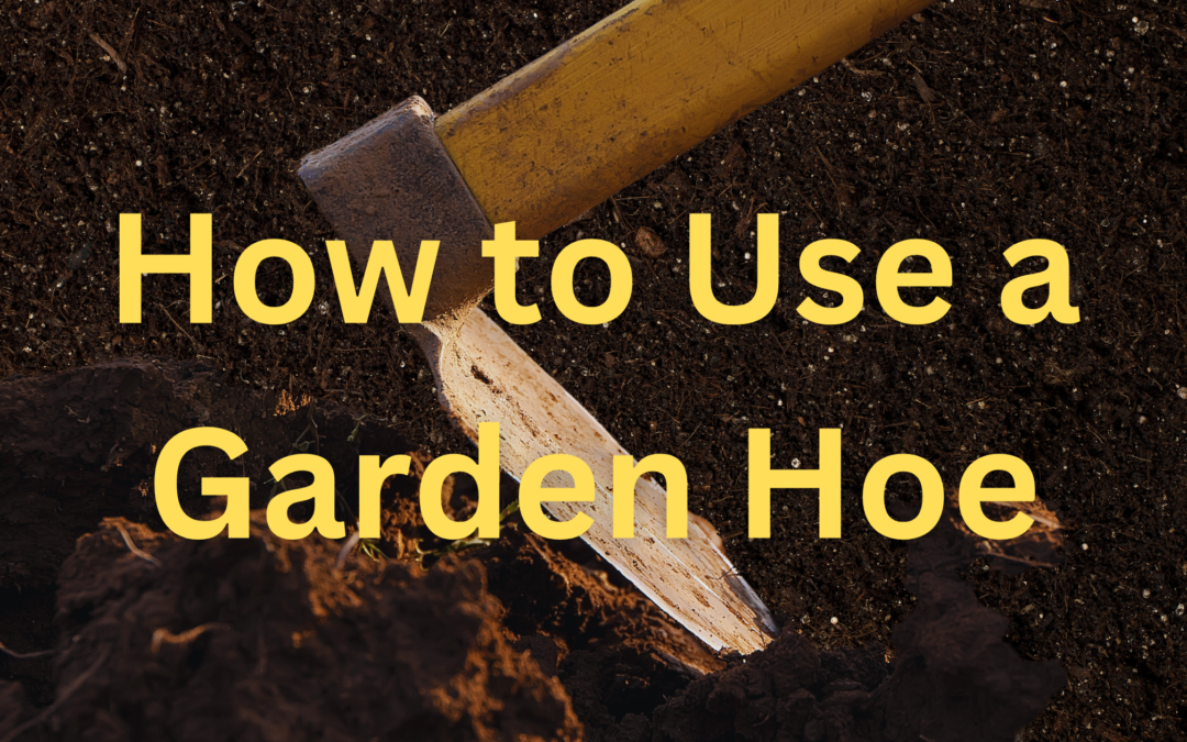 How to Use a Garden Hoe