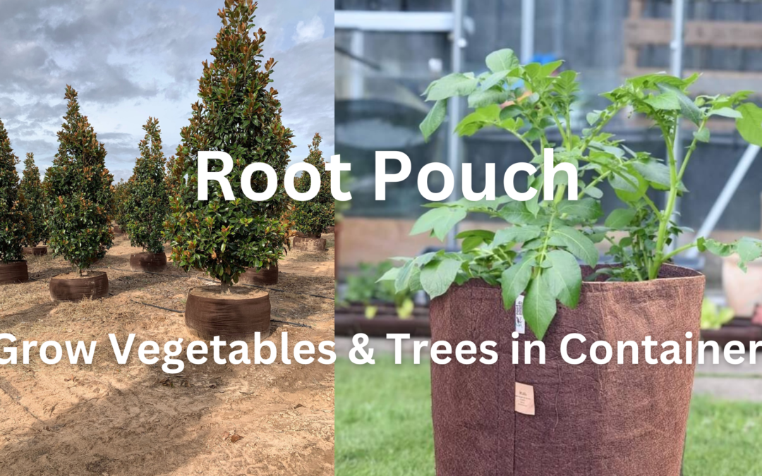 https://www.urbanhomesteadingpdx.com/wp-content/uploads/2023/08/Root-Pouch-Grow-Vegetables-to-Trees-in-Containers-1080x675.png